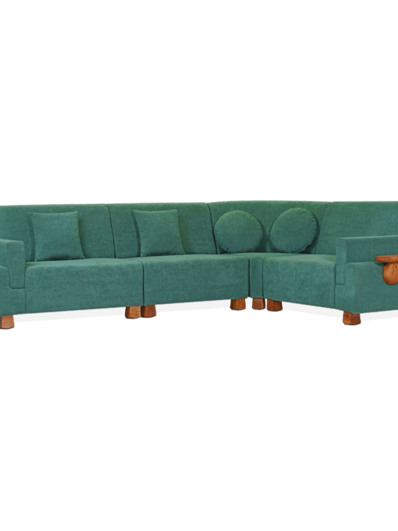 Asharee New Products- Drulo-1